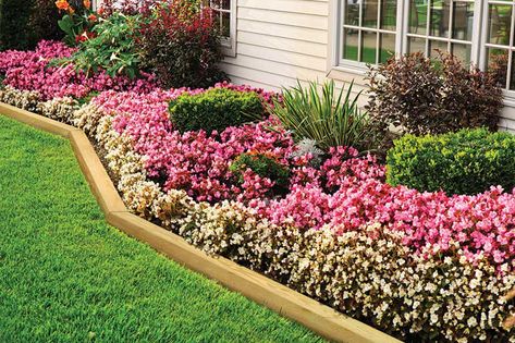 Landscape Timbers - Outdoor Essentials Front Flower Beds, Landscape Timbers, Flower Bed Designs, Flower Bed Ideas, Backyard Flowers, Video Garden, Landscape Edging, Modern Backyard, Outdoor Garden Decor