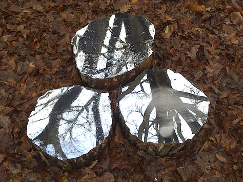 Artist Lee Borthwick installs mirrors in nature to offer a sense of peace and self-reflection. #art #installation #peace Tree Story, Reflection Art, Mirror Installation, Artistic Installation, Nature Artwork, Art Installation, Top Art, British Art, Mirror Art