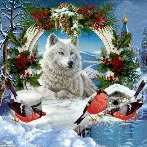 Wolf Christmas, Big Wolf, Native American Wolf, Wolf Wall Art, Eagle Wallpaper, Wolf Photography, Wolf Artwork, Wolf Painting, Wolf Photos