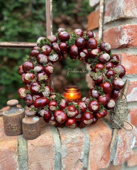 Conkers Craft, Hygge Crafts, Buckeye Crafts, Easy Thanksgiving Table Decor, Thanksgiving Table Decor Ideas, Nature Crafts Kids, Fall Feast, Seashell Art Diy, Acorn Crafts