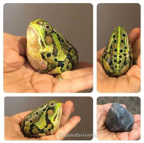 Frog Rock, Painted Garden Rocks, Inspirational Rocks, Diy Rock Art, Painted Rock Animals, Rock Artists, Rock Painting Patterns, Frog Art, Blessed Day