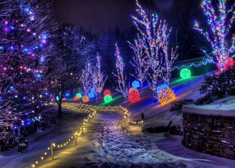 The lovely winter walk through Christmas Town is a great Kentucky tradition to start as a family. Lighting Festival, Creation Museum, Garden Of Lights, Japan Winter, Holiday Lights Display, Hanging Christmas Lights, Christmas Light Displays, Winter Festival, Christmas Town