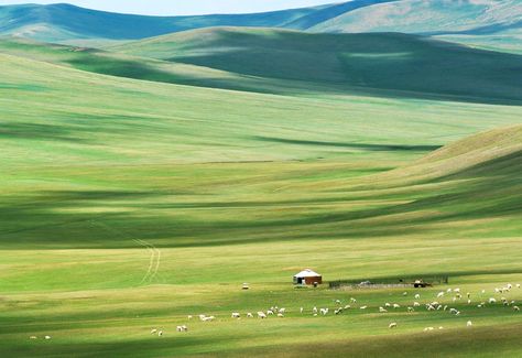 Hulunbuir Grasslands Inner Mongolia, China Travel, Mongolia, Asia Travel, Beautiful World, Animal Pictures, Places To See, Travel Destinations, Places To Go