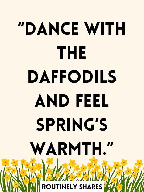 Cute and Happy Spring Sayings to Welcome the Blooming Flowers - Routinely Shares Spring Sayings, Spring Message, Spring Quotes, Happy Spring, Blooming Flowers, Instagram Captions, Creative Projects, Holidays, Feelings