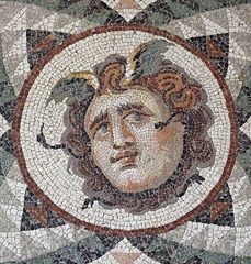 Detail of the Head of Medusa Mosaic from Antioch in the Princeton University Art Museum, August 2009 Rome Painting, Ancient Mosaic, Head Of Medusa, Rome Aesthetic, Ancient Roman Art, Rome Fashion, Rome Art, Empire Romain, Roman Mosaic