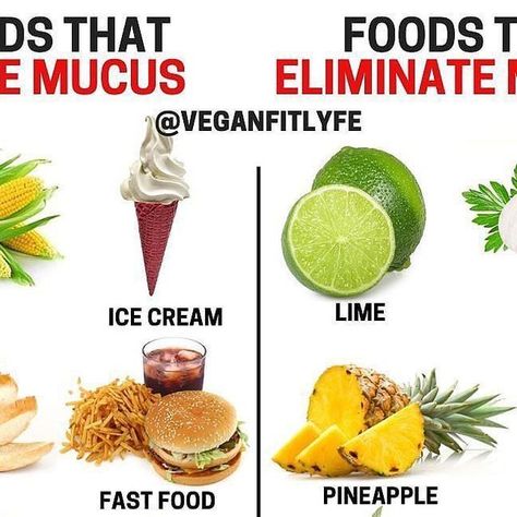 The Healthy Foodie🌱🥦🍗🥩 on Instagram: "Follow @meal.plans.today for daily nutrition tips and meal recipes - Like | Comment | Save | Share Turn on post notifications📢 - #nyc #newyork #newyorkcity #newyorker #newyorklife #mucus" Clean Your Liver, Healthy Facts, Heal Yourself, Healthy Herbs, Food T, Food Info, Healthy Foodie, Healthy Fitness, Health And Fitness Tips