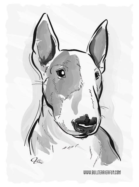 Bull Terrier Tattoo, Healthy Dog Food, Bull Terrier Art, Mini Bull Terriers, Bull Tattoos, Canine Art, A Bull, English Bull Terriers, Bull Terriers