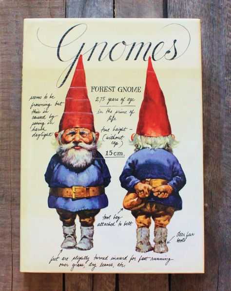 The Gnome Book Vintage Gnomes, Gnomes Book, David The Gnome, Book Drawing, Dutch Artists, Vintage Cookbooks, Story Book, Children's Book Illustration, Online Shops