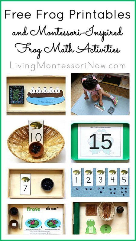 Free Frog Printables and Montessori-Inspired Frog Math Activities {Montessori Monday} Clock Numbers Printable, Pond Activities, Snowman Printables, Frog Life Cycle Activities, Frogs Preschool, Snowman Activities, Montessori Resources, Frog Activities, Numbers Printable