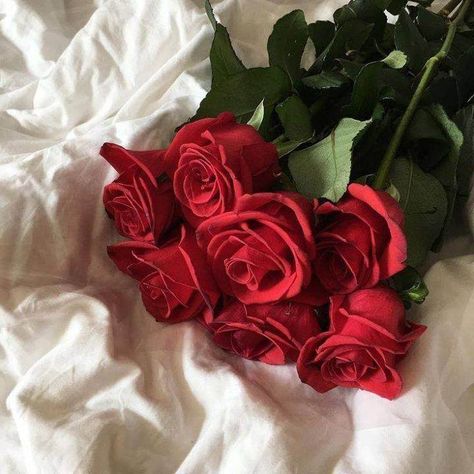 Pinterest⇝≫skylarmckellar❁ Insta⇝≫sky.mckellar❁ I always follow back Bunch Of Red Roses, Red Roses, Roses, Red, White