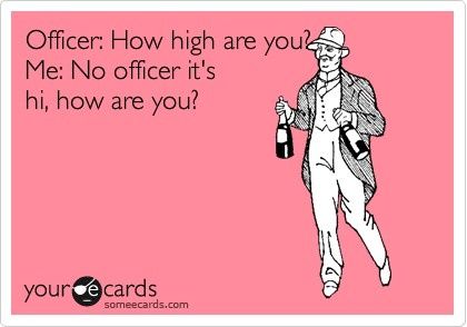 hilarious ecards tumblr | funny ecards | Tumblr | Funnies! Funny Ecards, How High Are You, E Card, Ecards Funny, Laughing So Hard, Tumblr Funny, Bones Funny, Funny Cute, Favorite Quotes