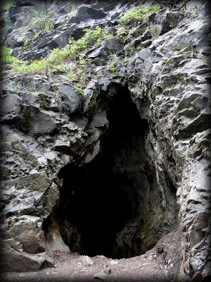 Possibly the cave entrance. But the tree is missing Cave Opening, Cat Den, Wood Cat Tree, Wolf Den, Fox Den, Cave Entrance, Tree Cat, Cat Trees, Homemade Cat