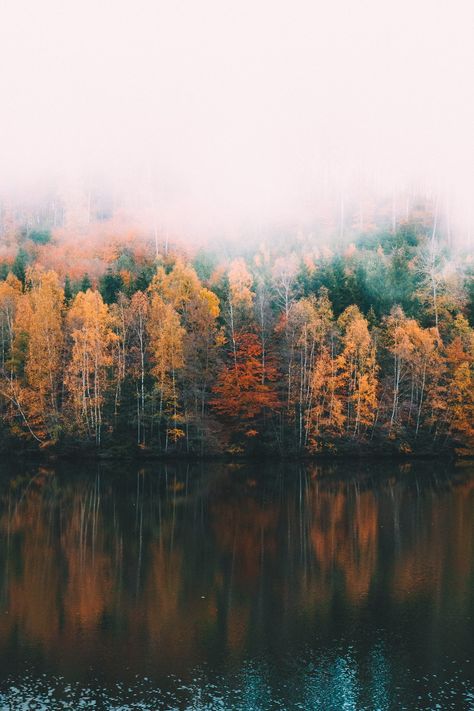 Thanks to @angroofficial for making this photo available freely on @unsplash 🎁 Simple Fall Backgrounds, Free Fall Wallpaper, Earth Tone Wall Art, Fall Wallpapers, Autumn Wallpaper, Wallpaper Fall, Autumn Lake, Iphone Wallpaper Fall, Forest Pictures