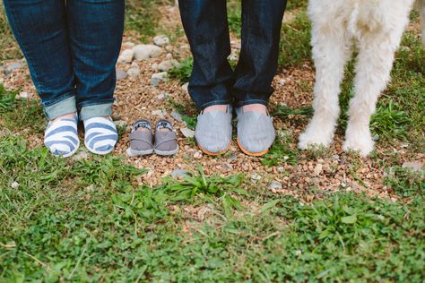 Engagement Announcement Pictures, Pregnancy Reveal Photos, Dog Baby Announcement, Unique Baby Announcement, Creative Pregnancy Announcement, Maternity Photoshoot Poses, Photos With Dog, Baby Announcement Photos, Human Babies