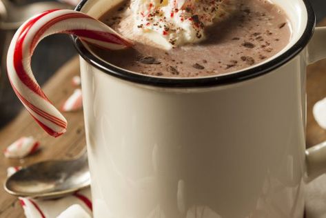 Peppermint Patty Cocktail Keto Hot Chocolate Recipe, Sugar Free Hot Chocolate, Diy Kombucha, Cocoa Powder Recipes, Peppermint Hot Cocoa, Homemade Hot Cocoa, Hot Cocoa Recipe, Peppermint Hot Chocolate, Cocoa Recipes