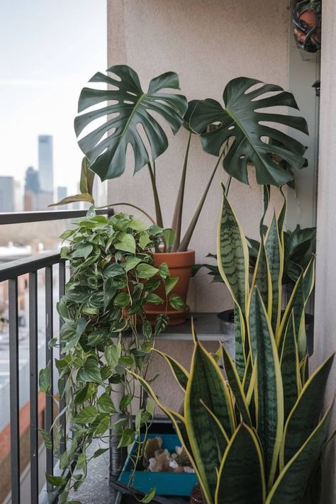 Urban balcony with potted monstera, pothos, and snake plants, city skyline in the background. Monstera Plant Aesthetic, Small Houseplants, Ladder Plant Stand, Monstera Plant Care, Fresh Aesthetic, Windowsill Garden, Corner Plant, Plant Styling, Desk Plants