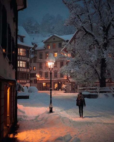 St Gallen Switzerland, St. Gallen, Landscaping Images, Snow Covered Trees, Snow And Ice, Snowy Day, Photography Pictures, Oh The Places Youll Go, Abandoned Places