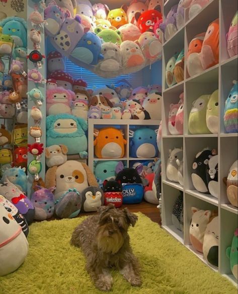 Where To Store Squishmallows, Squish Mellow Storage Ideas, Storage For Squishmallows, Squishmallow Shelf Display, Ways To Store Squishmallows, How To Store Squishmallows, Squishmellow Organization, Squishmallow Collection Display, Squishmallow Organization Ideas