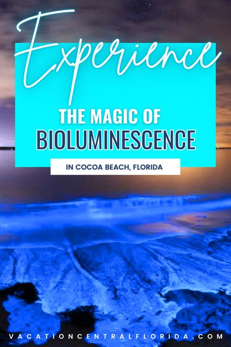 Cocoa Beach, Florida is home to a unique and beautiful experience - Bioluminescence kayaking! Learn about the fascinating aquatic creatures that cause the magical light display and get up close and personal with the bioluminescence while you paddle through the calm waters of this beautiful stretch of coastline. If you're looking for a unique and magical experience on your next visit to Florida, consider bioluminescence kayaking at Cocoa Beach. Bioluminescence Kayaking Florida, Cocoa Beach Bioluminescence, Cocoa Beach Florida Night, Cocoa Beach Florida Bioluminescence, Bioluminescence Beach Florida, Bioluminescence Florida, Bioluminescence Kayaking, Bioluminescent Kayaking, Bioluminescence Beach