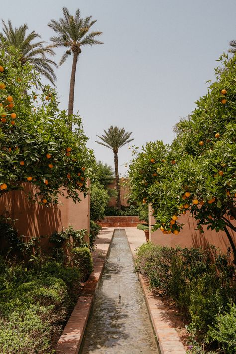 Arabic Garden, Moroccan Spa, Marrakech Gardens, Islamic Garden, Royal Mansour Marrakech, Moroccan Garden, Moroccan Riad, Riad Marrakech, Visit Marrakech