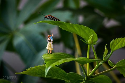 Mommy and baby, bug, Mini figures, preiser, ho, 1:87 Mini People Photography, Dinosaur Photography, Tiny Person, Human Photography, Baby Bug, Miniature Photography, Tiny People, Different Kinds Of Art, Art Miniature