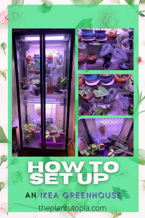 Ikea Shelf Greenhouse, Milsbo Greenhouse Hack, Milsbo Ikea, Milsbo Greenhouse, Ikea Glass Cabinet, Cabinet Greenhouse, Ikea Milsbo, Vitrine Ikea, Ikea Greenhouse Cabinet