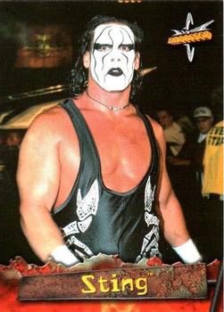 Sting Aesthetic, Sting Wcw, Wcw Wrestlers, Aesthetic Outside, Wrestling Stars, Wwe Wallpapers, Wwe Legends, Pro Wrestler, Wrestling Superstars