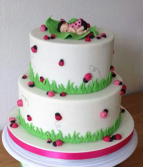 Bug Birthday Cakes, Ladybug Cakes, Bug Cake, Ladybug Cake, Ladybug Baby Shower, Ladybug Baby, Owl Cakes, Cinderella Cake, Baby Shower Cakes Girl