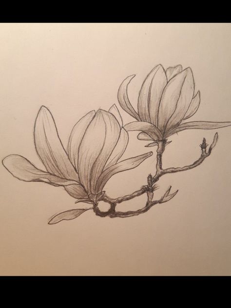 Magnolia Branch, Bird Tattoo, Flower Leaf, Magnolia Flower, Birds Tattoo, Leaf Tattoos, Maple Leaf Tattoo, Maple Leaf, Magnolia