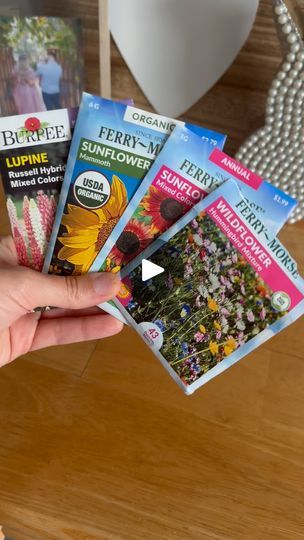 3.1K reactions · 627 shares | Hello, my fellow garden lovers, 🪴👩🏼‍🌾 here is a video on how to germinate seeds to be planted into the garden.

 Hope you enjoy!

Steps to germination: 

Flower seeds of your choice 
Ziploc bags 
Paper towel
Water 
Sharpie 
Window seal with a lot of sun shining through 

Depending on the seed, germination progress starts within 1 to 4 days to sprout.
After they sprouted, you want to plant them directly into the soil with the sprout upward, and the root down towards the ground.
* you also want to look out for mold, now mold could grow on the seeds and if they do throw them out, start a whole new batch, if not happy planning! 

#garden #gardeninspiration #girly #gardening #gardenlove #gardener #plant #veggies #fruit #homegrown #homegrownfood #homegrownveggie Hummingbird Mixture, Homegrown Food, Seed Pack, Garden Yard Ideas, Garden Lovers, Plant Growth, Backyard Projects, Growing Flowers, Planting Seeds