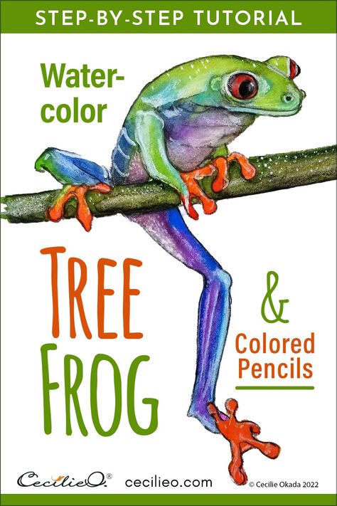 Watercolor Techniques For Beginners, Frog Watercolor, Paint Step By Step, Easy Watercolor Paintings, Colored Pencils Art, Watercolor Paintings Ideas, Beginners Watercolor, Art Painting Watercolor, How To Watercolor