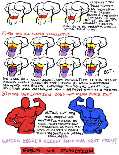 Form vs. Function How To Draw Abs, Anatomy Tutorial, Human Anatomy Drawing, Body Drawing Tutorial, Ted Talk, Body Reference Drawing, Anatomy Drawing, Poses References, Figure Drawing Reference