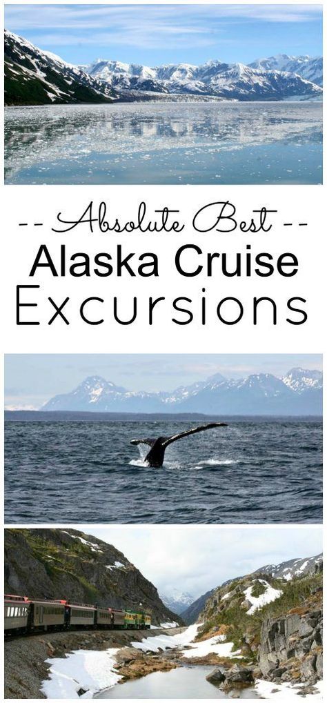 Alaskan Cruise Excursions, Best Alaskan Cruise, Alaska Cruise Excursions, Alaska Cruise Tips, Alaska Trip, Alaska Vacation, Cruise Excursions, Alaskan Cruise, Architecture 3d