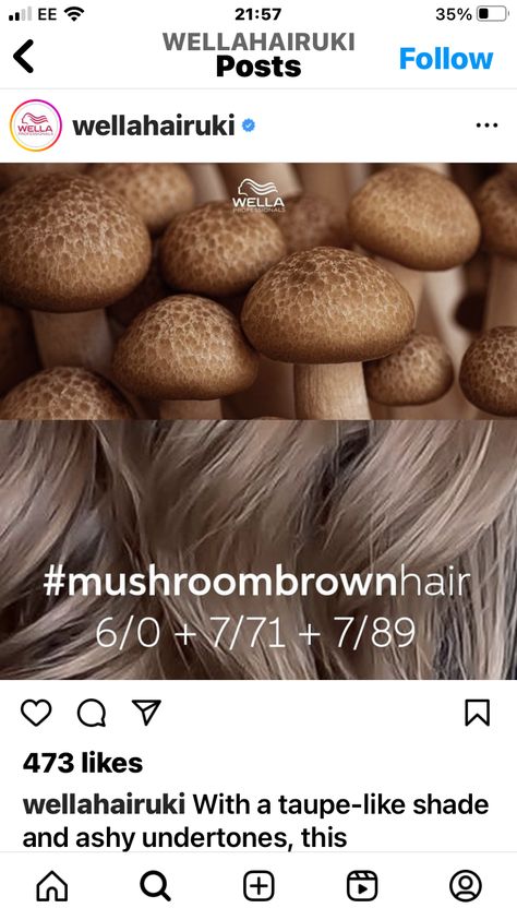 Mushroom Brown Toner Formula Wella, Matrix Mushroom Brown Formula, Mushroom Toner Formula, Mushroom Brown Formula Wella, Mushroom Hair Color Formula, Dark Blonde Hair Formula, Wella Hair Color Formulas, Wella Blonde Hair Color Shades, Ash Brown Formula