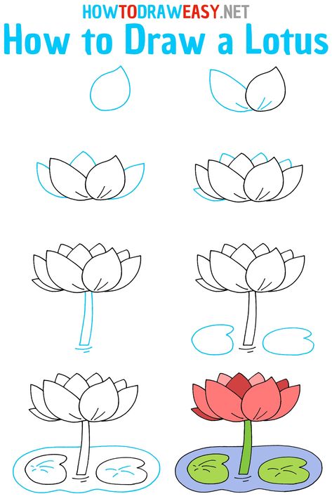 How to Draw a Lotus Step by Step #Lotus #LotusDrawing #HowtoDrawaLotus #LotusFlower #LilyLotus #LilyFlower #Flowers #EasytoDraw #HowtoSketch #HowtoDrawaLilyFlower #HowtoDrawaLotusFlower How To Draw A Lily Pad, Lily Pad Drawing, Hobonichi Journal, Water Lily Drawing, Pond Drawing, Lotus Flower Drawing, Lotus Drawing, Lilies Drawing, Easy Flower Drawings