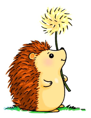 Hedgehog Hedgehog Drawing, Hedgehog Illustration, Hedgehog Art, Cute Animal Drawings Kawaii, Cute Hedgehog, Animal Clipart, Book Art Drawings, Cute Animal Drawings, Cartoon Style