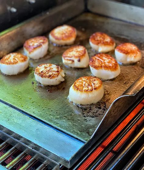 Single Best Tip Ever for Cooking Scallops - Grill Outdoor Recipes - Grillseeker Grilled Scallops Recipe, Seared Scallops Recipe, Cooking Scallops, Scallops Recipes, Cook Scallops, Scallops Recipe, How To Cook Scallops, Grilled Scallops, Baked Scallops