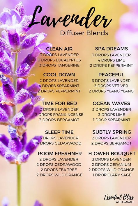 Diffuser Blend suggestions using Lavender Essential Oil Lavender Diffuser Blends, Lavender Diffuser, Lilin Aroma, Doterra Diffuser Blends, Essential Oil Combinations, Essential Oil Diffuser Blends Recipes, Magia Das Ervas, Essential Oil Remedy, Young Living Essential Oils Recipes