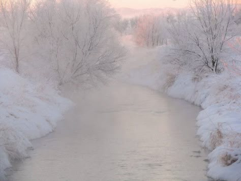 Pale Aesthetic, Broken Dreams, Catty Noir, Snow Princess, Winter Wonder, Winter Aesthetic, White Aesthetic, Pretty Places, Narnia