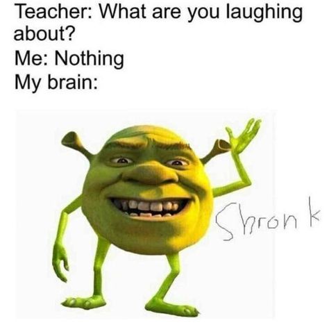 Memes #3 {completed} ✔︎ | Shrek memes, Funny disney memes, Funny relatable memes Shrek Memes Funny, About Your Teacher, Shrek Funny, Shrek Memes, Bored Funny, Funny Disney Memes, Mike Wazowski, School Memes, Visual Statements