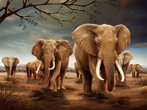 Elephants Watercolor, African Animals Photography, Group Of Elephants, Elephant World, Elephant Photography, Herd Of Elephants, Wild Animals Photography, Elephant Pictures, Elephants Photos