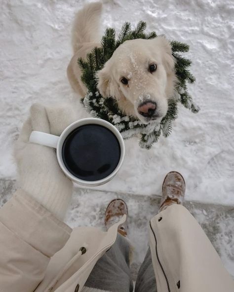 #идеидляфото #собака #dogs #эстетика #aesthetic #coffee #кофе #christmas #xmas #xmasideas 사진 촬영 포즈, Winter Inspo, Cosy Christmas, Winter Love, Christmas Feeling, 背景 シンプル, Vsco Filter, Winter Wonder, Jolie Photo