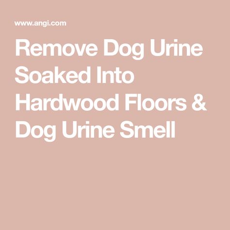 How To Get Pet Urine Smell Out Of Wood, How To Remove Dog Urine Smell From Laminate Floors, Dog Pee Smell Out Of Wood Floors, Remove Dog Urine Smell, Dog Urine Odor Remover, Remove Urine Smell, Pet Urine Smell, Cleaning Pet Urine, Dog Pee Smell