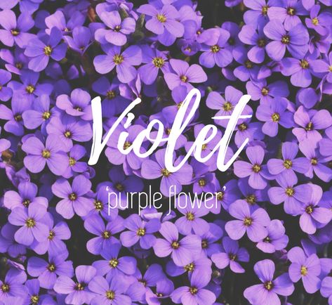 Viola Name, Purple Flower Names, Violet Name, Fancy Letters, S Name, Flower Names, Baby Name, Purple Flowers, Baby Names