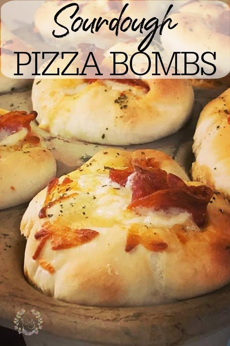 Dough Starter Recipe, Pepperoni Roll, Recipe Using Sourdough Starter, Pepperoni Rolls, Sourdough Bread Starter, Dough Starter, Sourdough Starter Discard Recipe, Bread Starter, Homemade Sourdough Bread