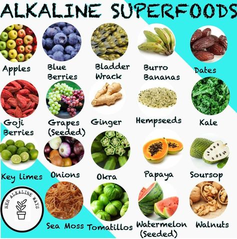 Alkaline Superfoods Dr Sebi Recipes Alkaline Diet, Dr Sebi Alkaline, Dr Sebi Alkaline Food, Dr Sebi Recipes, Alkaline Vegan, Alkaline Diet Recipes, Sport Nutrition, Dr Sebi, Alkaline Diet