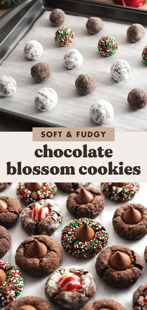 These chocolate blossom cookies are an easy twist on classic peanut butter blossoms but for chocolate lovers! They're soft and fudgy chocolate cookies with Hershey's kisses pressed into the middle. They're the easiest holiday cookies you'll make. #holidaycookies #blossomcookies #cookies | teakandthyme.com Brownie Cookies With Hershey Kisses, Cookie Recipes Hershey Kiss, Cookies And Cream Kiss Cookies, Hershey Chocolate Kiss Cookies, Chocolate Blossom Cookies Recipe, No Bake Peanut Butter Blossoms Hershey Kiss Cookies, Hershey Peanut Butter Blossoms, Hershey Kiss Blossom Cookies, Cookies And Cream Blossom Cookies