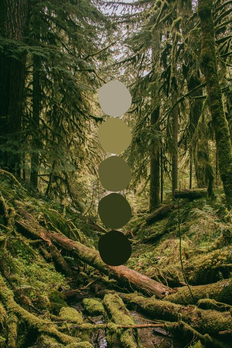 Moody Nature Color Palette, 2 Paint Colors On One Wall, Forest Bedroom Paint Colors, Earthy Colour Palette Bedroom, Color Palette With 9 Colors, Wedding Color Palette Forest Green, Forest Color Pallette, Green Forest Palette, All Green Color Palette