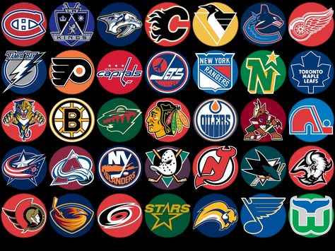 The old times were BETTER times.#Repin By:Pinterest++ for iPad# Ice Logo, Fantasy Hockey, Nhl Hockey Teams, Nhl Wallpaper, Hockey Room, Usa Hockey, Hockey Logos, Nhl Logos, Ice Hockey Teams