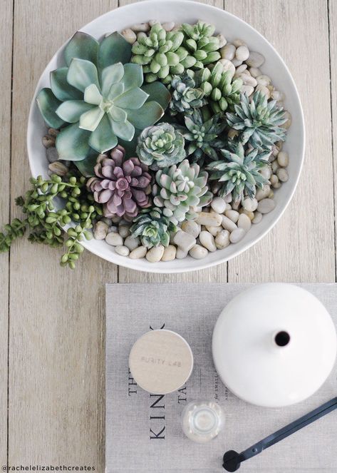 DIY your very own fake succulent terrarium for your coffee table decor. Diy Succulent Terrarium, Succulent Bowls, Succulent Garden Indoor, Succulent Garden Design, نباتات منزلية, Fake Plants Decor, Succulent Garden Diy, Fake Succulents, Succulent Gardening